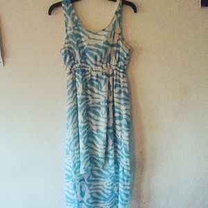 Light blue Zebra printed dress